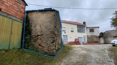 Maison T0 à Troviscal de 60 m²