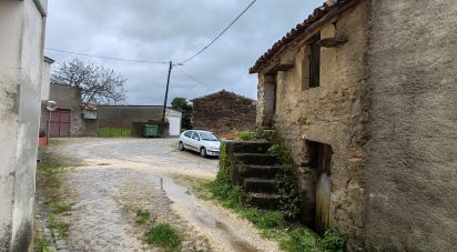 Maison T0 à Troviscal de 60 m²