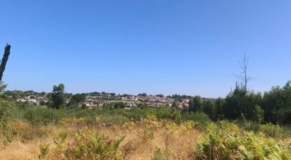 Terrain à Travancinha de 34 535 m²