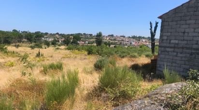 Terrain à Travancinha de 34 535 m²