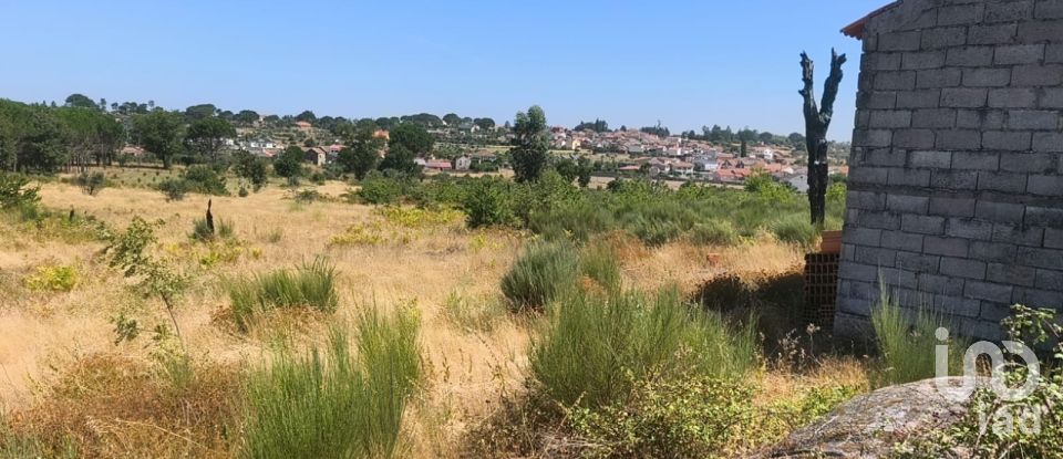 Terreno em Travancinha de 34 535 m²