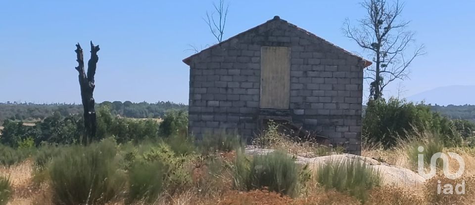 Terreno em Travancinha de 34 535 m²