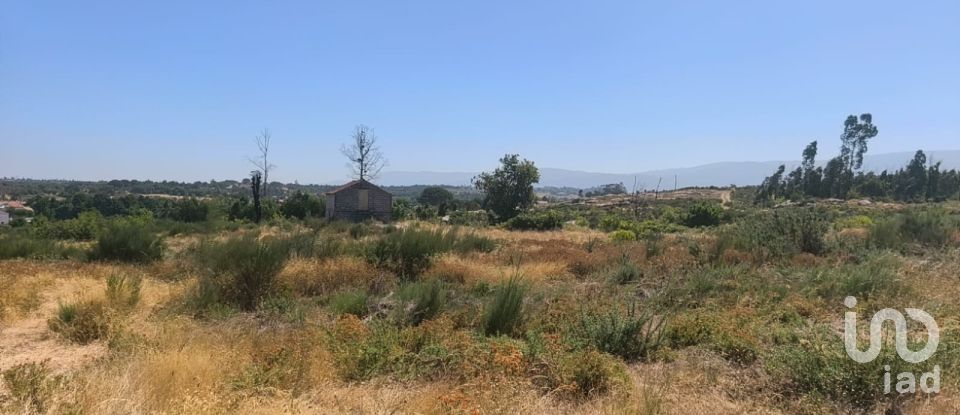 Terreno em Travancinha de 34 535 m²