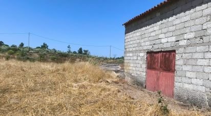 Terrain à Travancinha de 34 535 m²