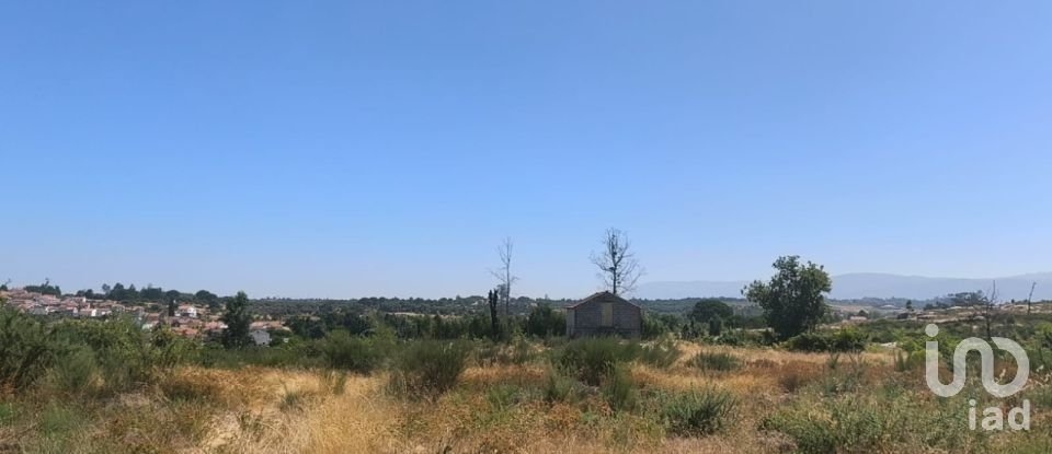 Terreno em Travancinha de 34 535 m²