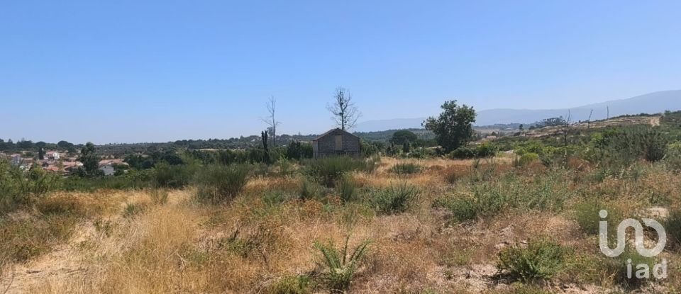 Terreno em Travancinha de 34 535 m²