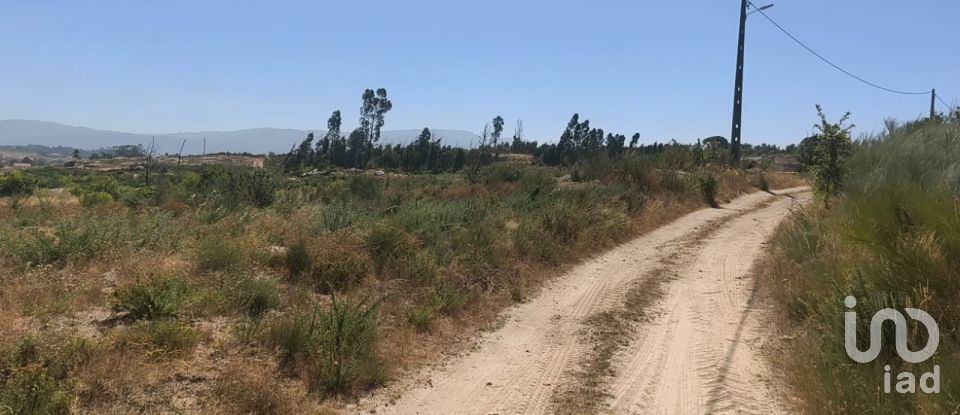 Terreno em Travancinha de 34 535 m²