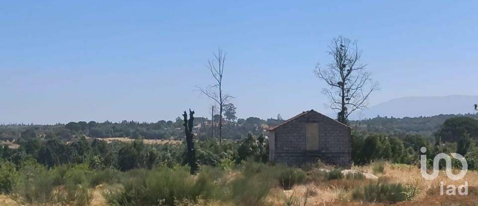 Terreno em Travancinha de 34 535 m²