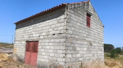 Terrain à Travancinha de 34 535 m²