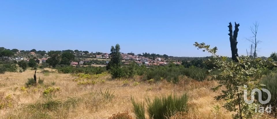 Terreno em Travancinha de 34 535 m²