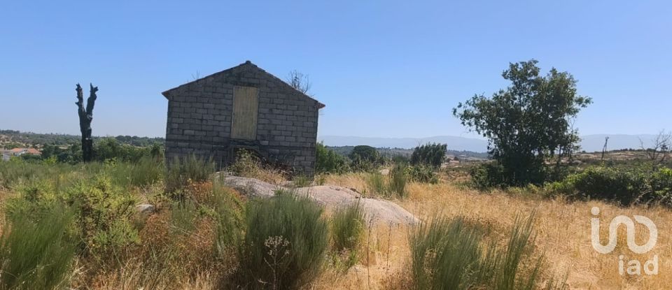 Terreno em Travancinha de 34 535 m²