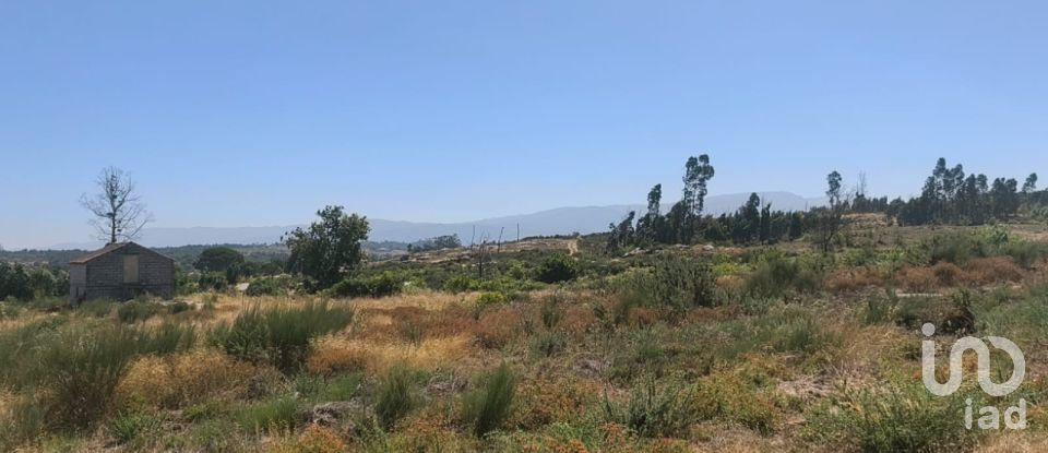 Terreno em Travancinha de 34 535 m²