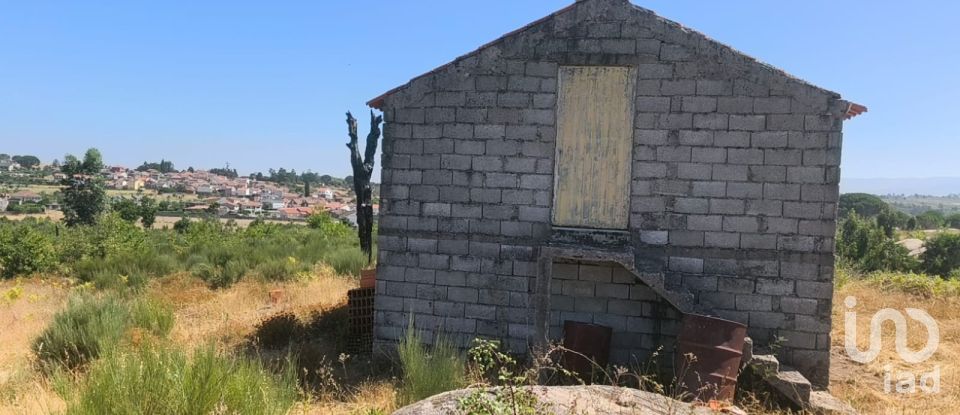 Terreno em Travancinha de 34 535 m²