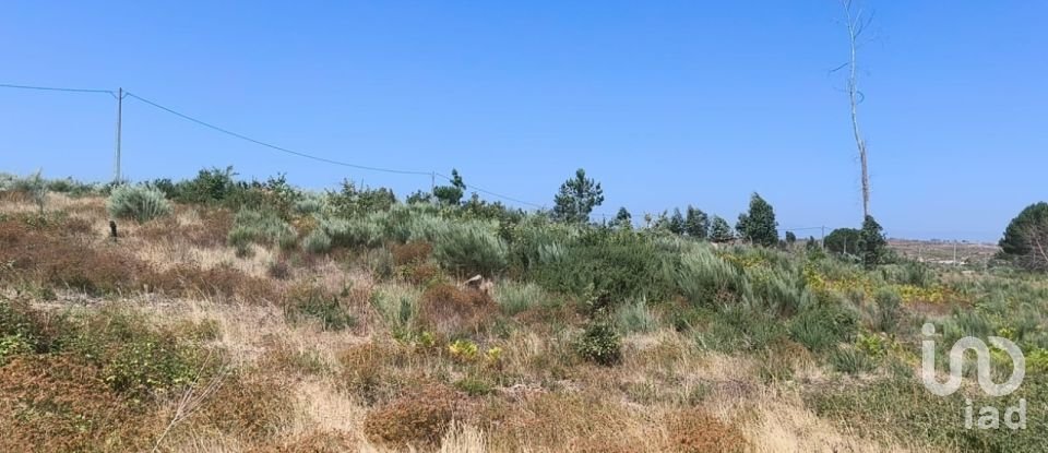 Terreno em Travancinha de 34 535 m²