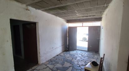 House T3 in Lamas e Cercal of 175 m²