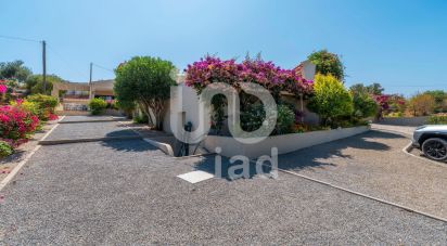 House T3 in Pechão of 280 m²