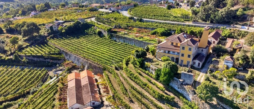 Ferme T20 à Constance de 1 885 m²