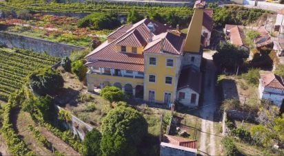 Ferme T20 à Constance de 1 885 m²