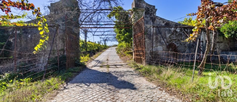 Ferme T20 à Constance de 1 885 m²