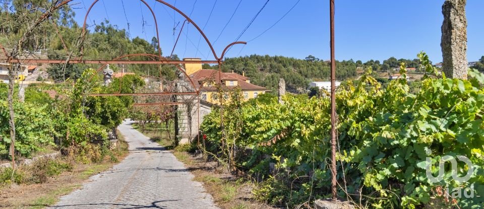 Ferme T20 à Constance de 1 885 m²
