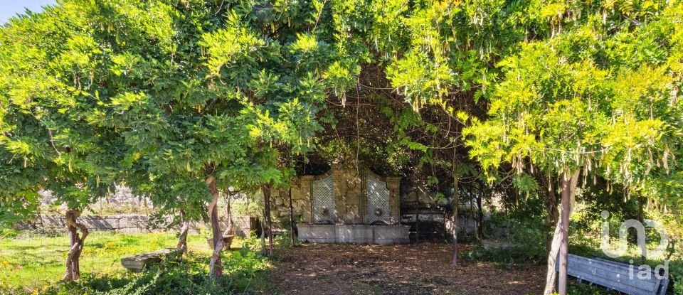 Ferme T20 à Constance de 1 885 m²