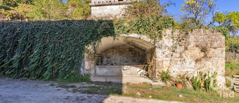 Ferme T20 à Constance de 1 885 m²