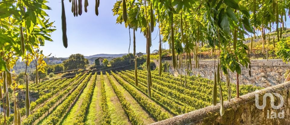 Ferme T20 à Constance de 1 885 m²