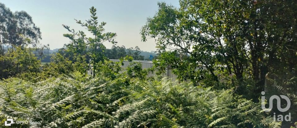 Terrain à bâtir à Nogueira e silva escura de 4 500 m²