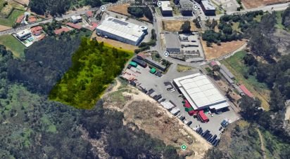 Terrain à bâtir à Nogueira e silva escura de 4 500 m²