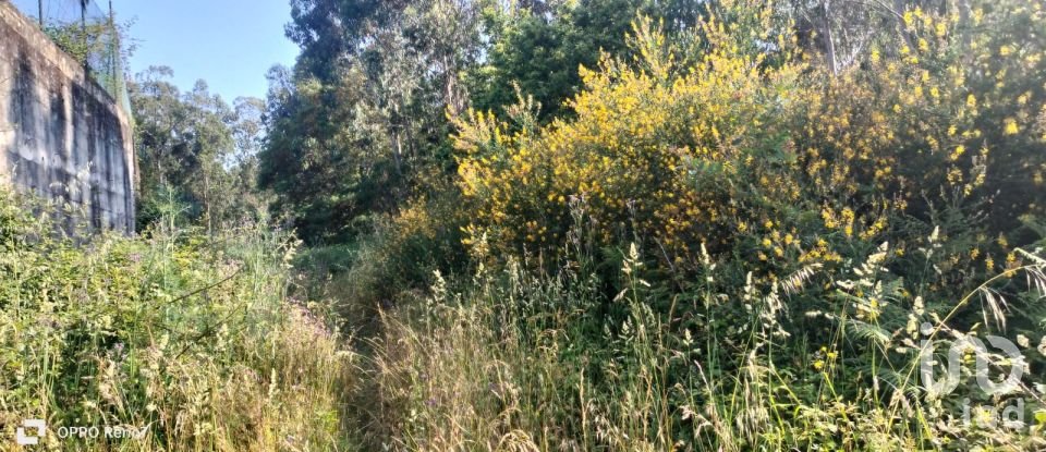 Terrain à bâtir à Nogueira e silva escura de 4 500 m²