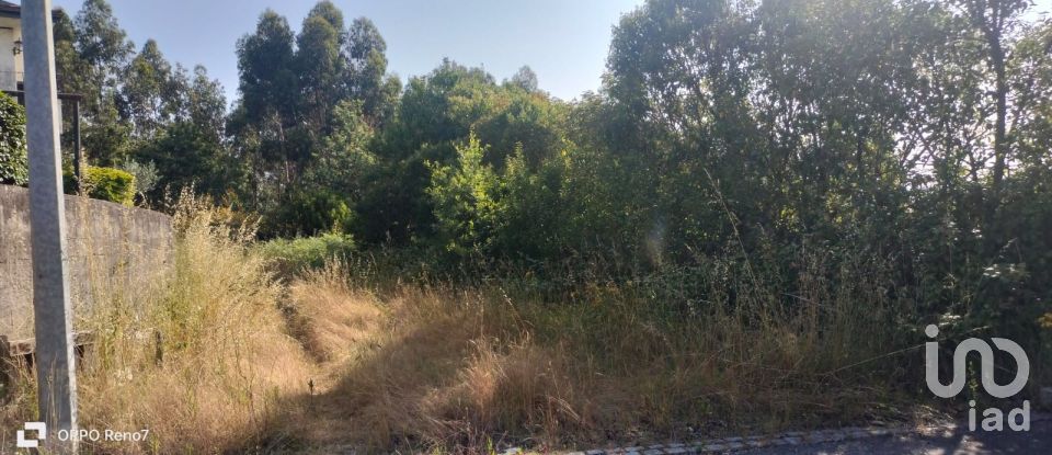 Terrain à bâtir à Nogueira e silva escura de 4 500 m²