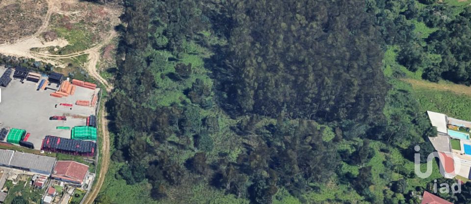 Terrain à bâtir à Nogueira e silva escura de 4 500 m²