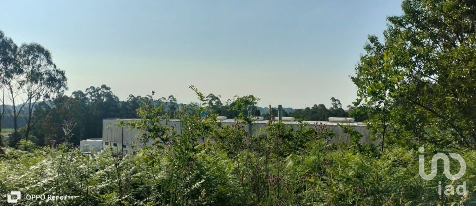 Terrain à bâtir à Nogueira e silva escura de 4 500 m²