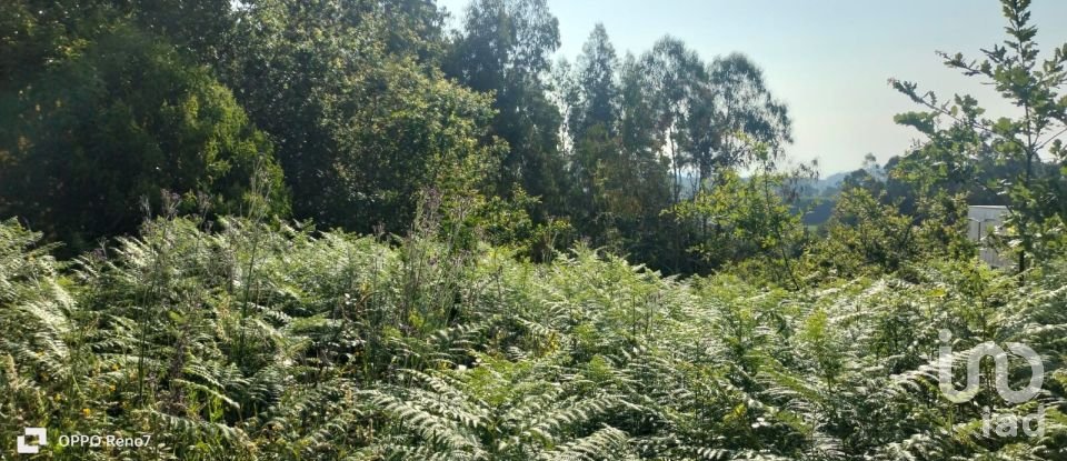 Terrain à bâtir à Nogueira e silva escura de 4 500 m²