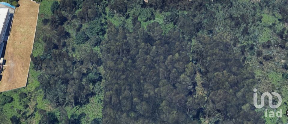 Terrain à bâtir à Nogueira e silva escura de 4 500 m²