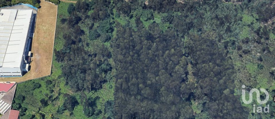 Terrain à bâtir à Nogueira e silva escura de 4 500 m²