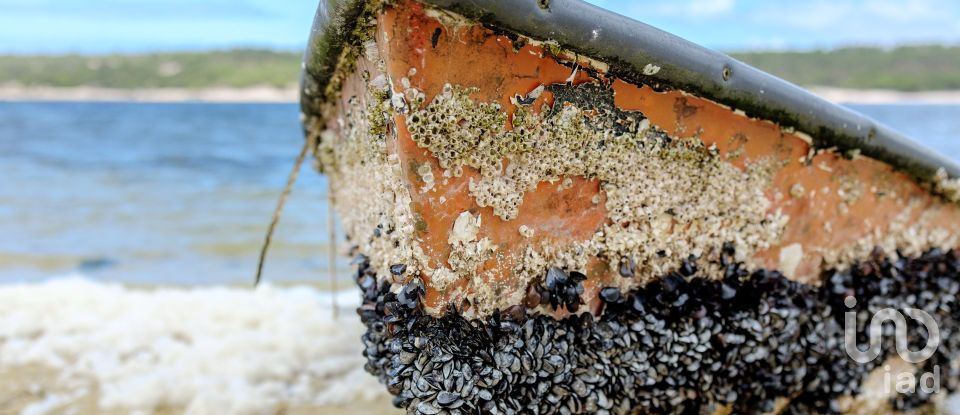 Moradia T4 em Sesimbra (Castelo) de 250 m²