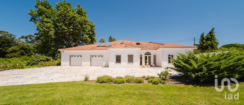 Quinta T4 em Moita dos Ferreiros de 633 m²