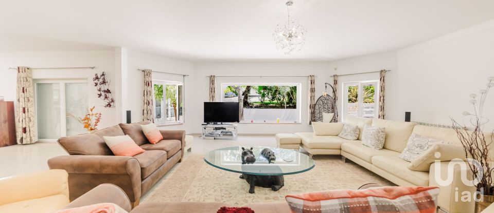 Quinta T4 em Moita dos Ferreiros de 633 m²