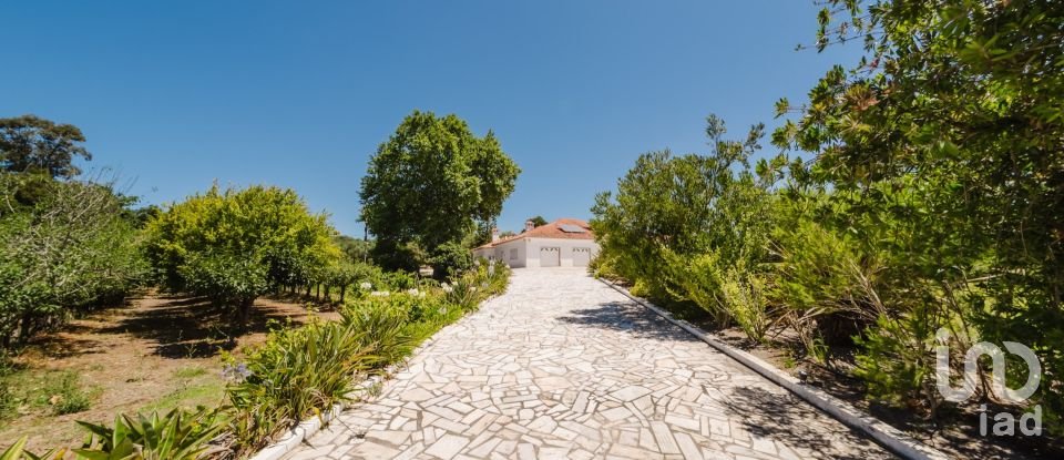 Quinta T4 em Moita dos Ferreiros de 633 m²