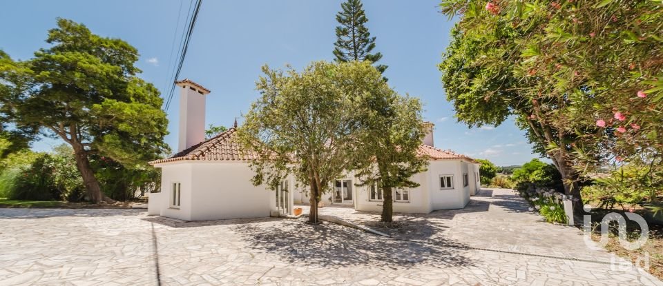 Quinta T4 em Moita dos Ferreiros de 633 m²