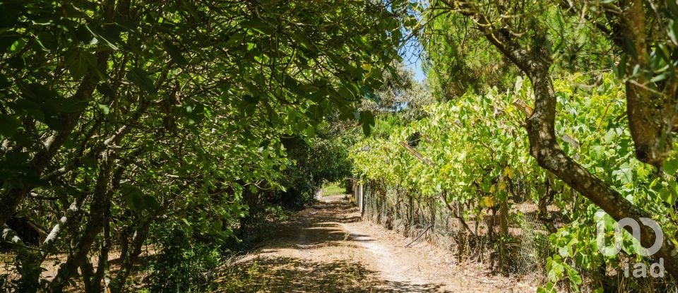 Quinta T4 em Moita dos Ferreiros de 633 m²