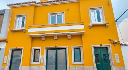 Bâtiment à Peniche de 248 m²