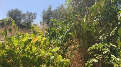 House T0 in Travancinha of 157 m²