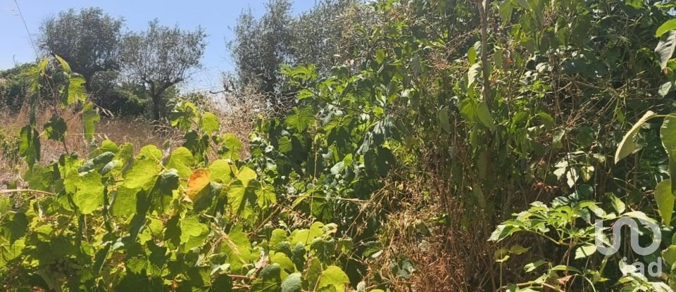 House T0 in Travancinha of 157 m²