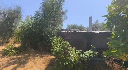 House T0 in Travancinha of 157 m²