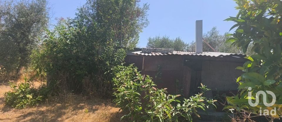 House T0 in Travancinha of 157 m²