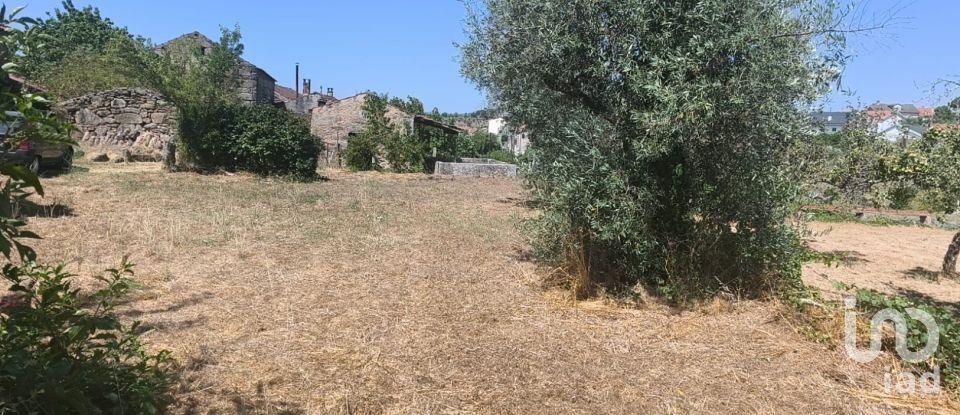 House T0 in Travancinha of 157 m²