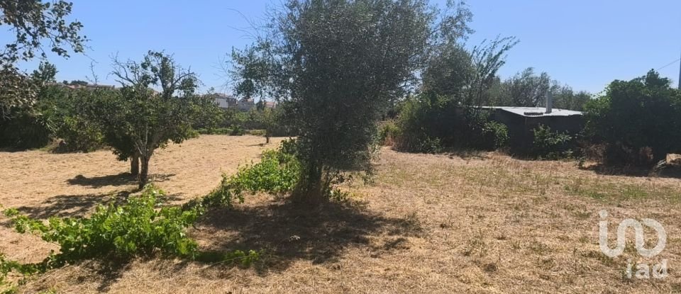 House T0 in Travancinha of 157 m²