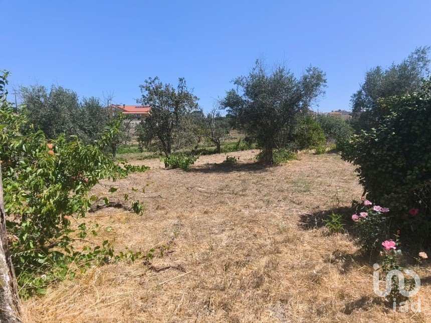 House T0 in Travancinha of 157 m²